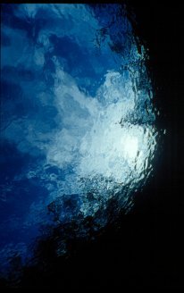 Underwater Photography