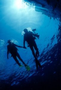 Underwater Photo - Tropics