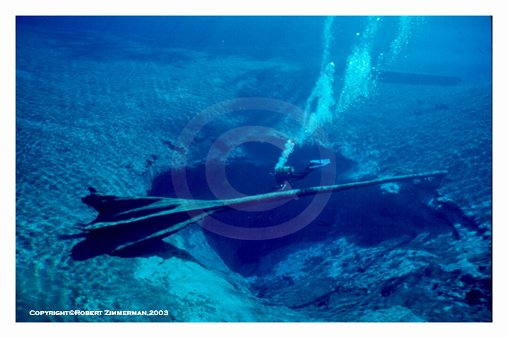 Morrison Springs Underwater Print
