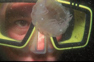 Underwater Photography